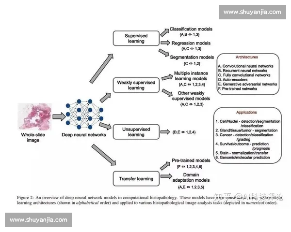 对抗格局下的力量博弈与秩序重塑新趋势研究框架与路径探索分析