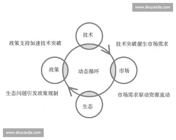 以市场连接为核心驱动的产业协同与价值共创新路径探索发展实践与创新生态 以市场连接为核心驱动的产业协同与价值共创新路径探索发展实践与创新生态